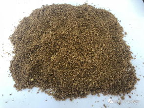 魚價低迷期如何降低餌料成本？養(yǎng)殖戶必看的實用策略